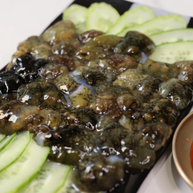 바다의 산삼 해삼