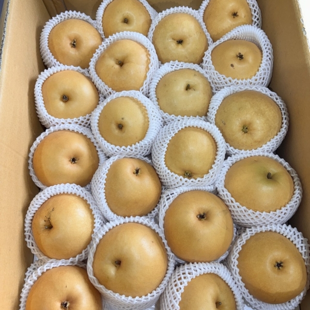 시원하고 맛있는 원항배~!