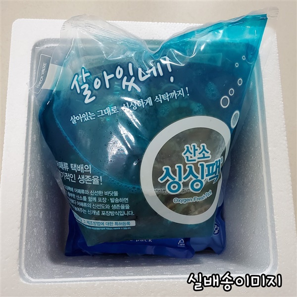 에이치쿡 이미지